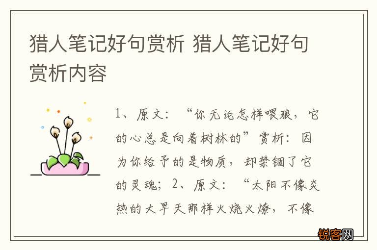猎人笔记好句赏析 猎人笔记好句赏析内容