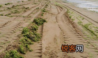 车辙的意思 车辙的解释