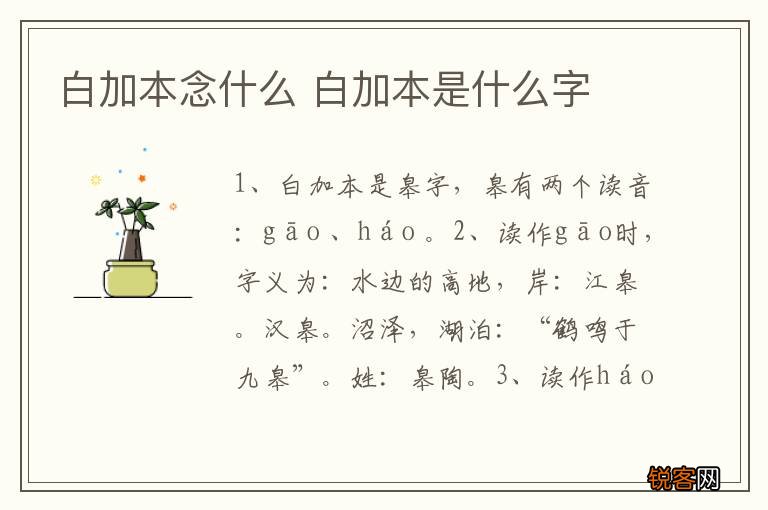 白加本念什么 白加本是什么字
