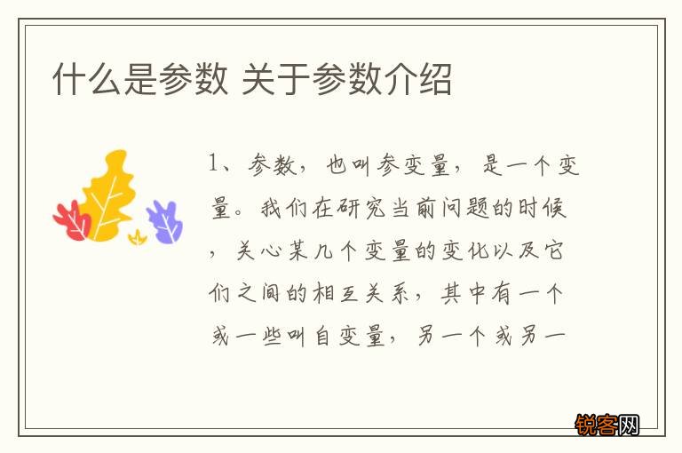 什么是参数 关于参数介绍