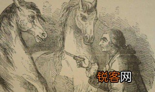 格列佛游记中慧骃国中的骃什么意思 格列佛游记中慧骃国中的骃释义