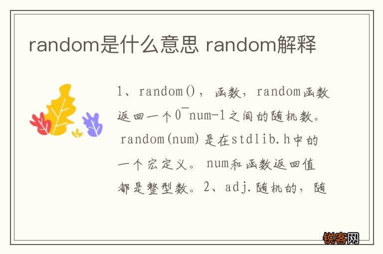 random是什么意思 random解释