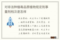 对非法种植毒品原植物规定刑事量刑档次是怎样