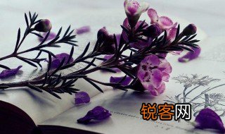 励志笃行是什么意思 励志笃行解释