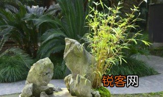 竹似贤何哉原文及翻译 竹似贤何哉文章介绍