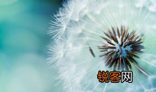 风逝的诺言什么意思 风逝的诺言简单释义