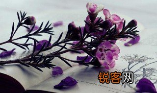 委曲求存是什么意思 委曲求存解释