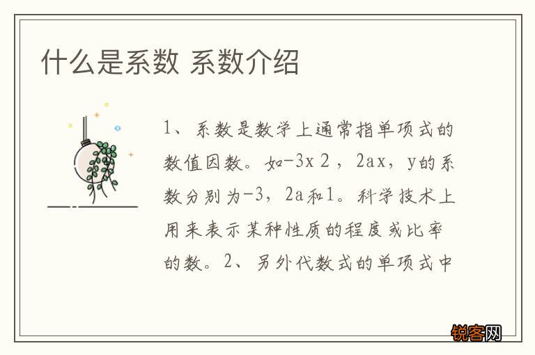 什么是系数 系数介绍