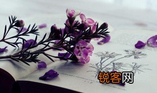 野旷天低树江清月近人野的意思 野旷天低树江清月近人野的解释