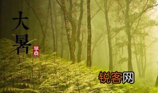 大暑节气作文 描写大暑节气的作文