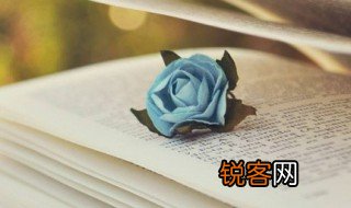 不伦不类和争论不休是什么意思 不伦不类和争论不休的释义
