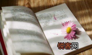 袅袅婷婷是什么意思 袅袅婷婷的释义