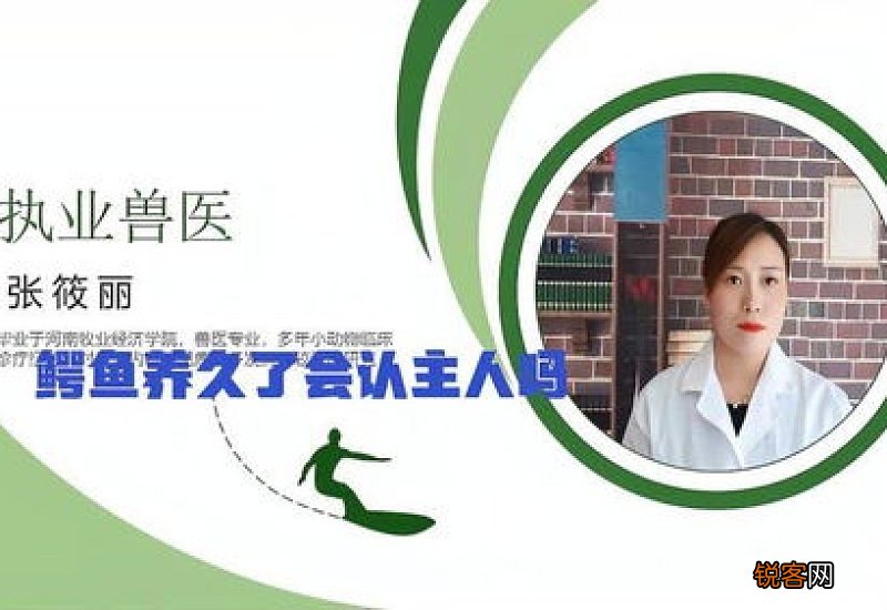 鳄鱼养久了会认主人吗?
