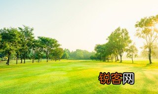 曈曈是什么意思 曈曈指什么