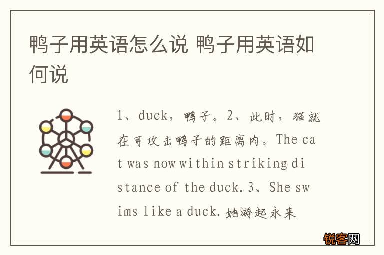 鸭子用英语怎么说 鸭子用英语如何说