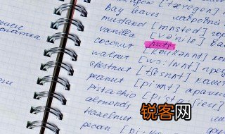 鸭子用英语怎么说 鸭子用英语如何说