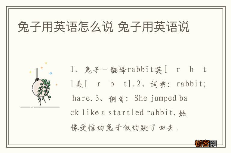 兔子用英语怎么说 兔子用英语说