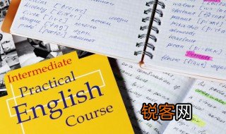 兔子用英语怎么说 兔子用英语说
