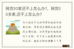 网贷20家还不上怎么办?，网贷20多家,还不上怎么办?