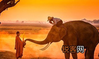 遁世者是什么意思 遁世者介绍