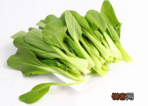 春季多吃“6个最合适”可防病
