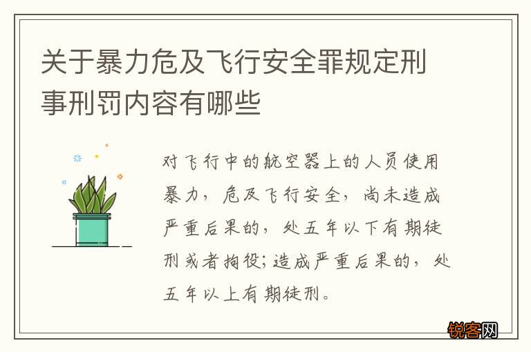 关于暴力危及飞行安全罪规定刑事刑罚内容有哪些