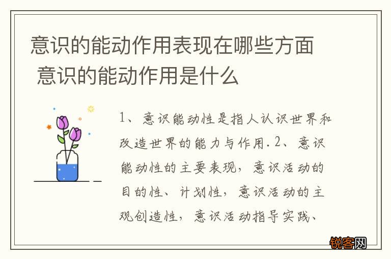 意识的能动作用表现在哪些方面 意识的能动作用是什么