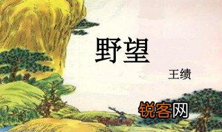 野望赏析 关于野望赏析