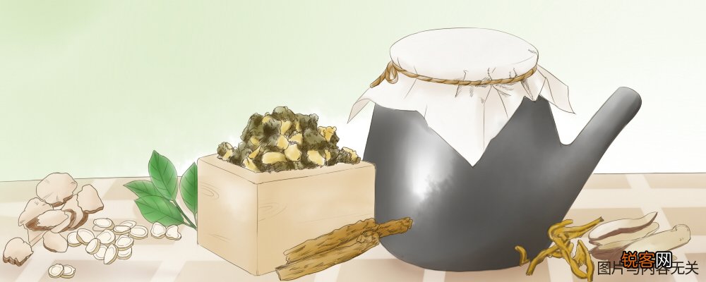 栗壳牛肝菌的功效与作用
