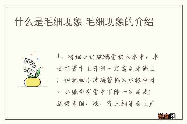 什么是毛细现象 毛细现象的介绍