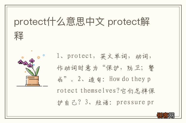protect什么意思中文 protect解释