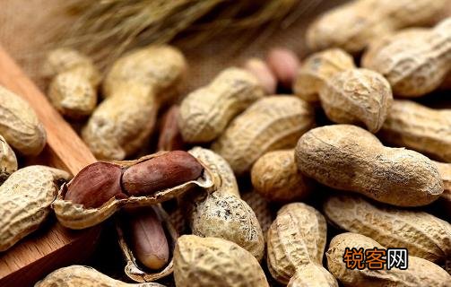 减肥人群不可再吃的高热量零食 清理肠胃的零食推荐