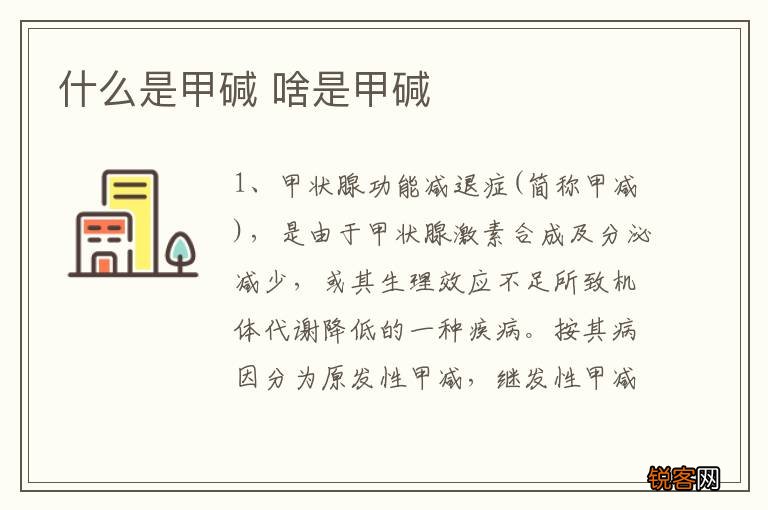 什么是甲碱 啥是甲碱