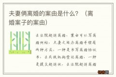 离婚案子的案由 夫妻俩离婚的案由是什么？