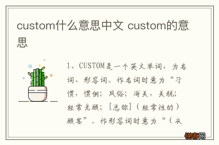 custom什么意思中文 custom的意思