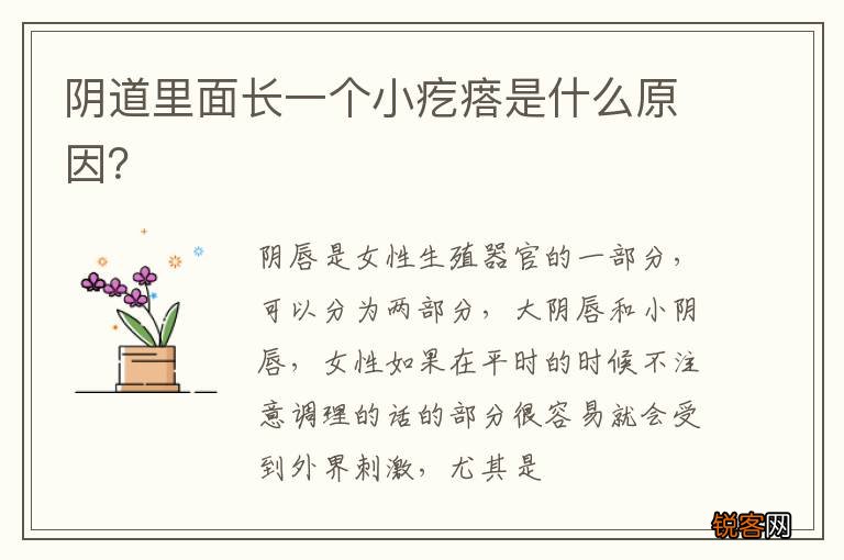 阴道里面长一个小疙瘩是什么原因？