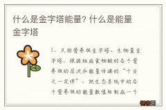 什么是金字塔能量? 什么是能量金字塔