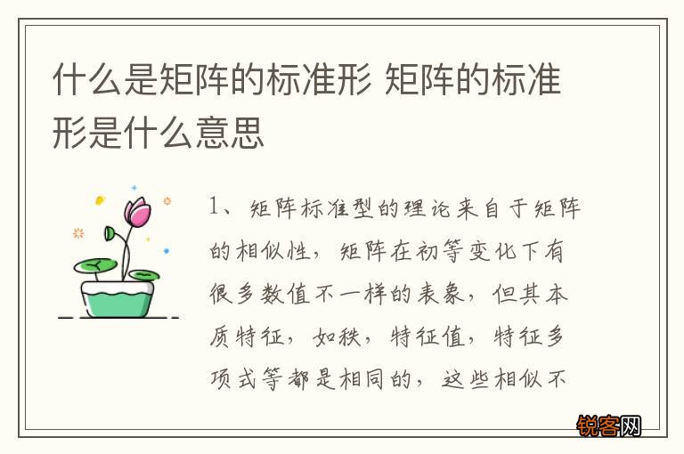什么是矩阵的标准形 矩阵的标准形是什么意思