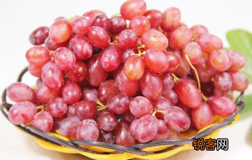 可以瘦肚子的水果推荐 这7种水果不要错过