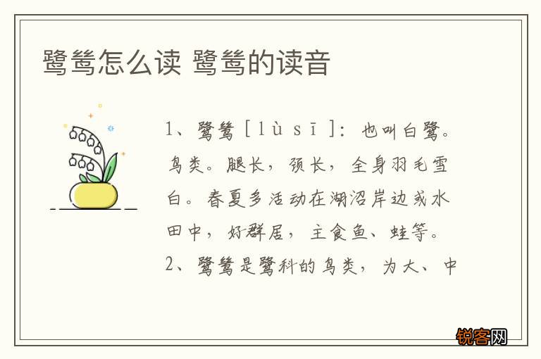鹭鸶怎么读 鹭鸶的读音