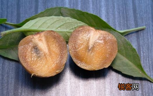 吃水果可以瘦肚子 这7种水果不要错过