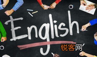 follow什么意思 follow的解释
