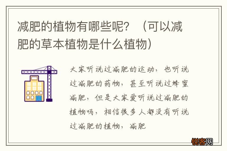 可以减肥的草本植物是什么植物 减肥的植物有哪些呢？