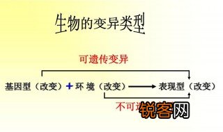 什么是可遗传变异? 具体什么是可遗传变异