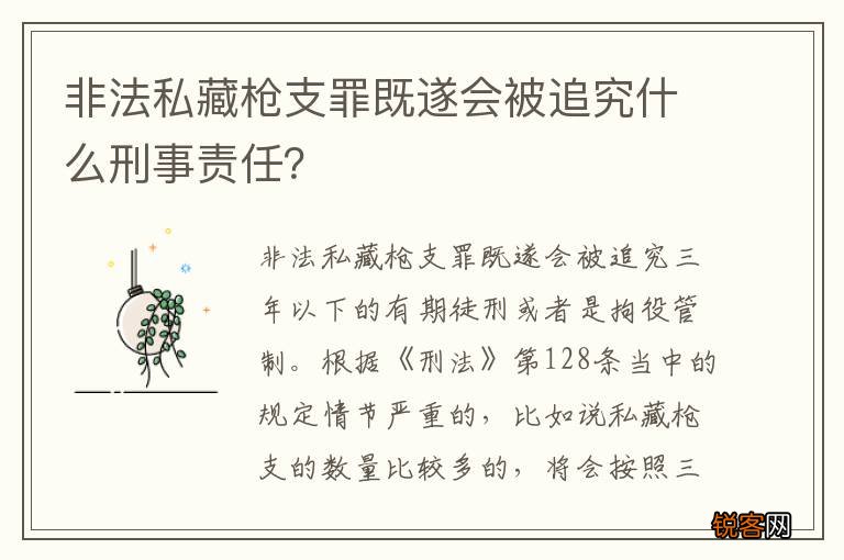 非法私藏枪支罪既遂会被追究什么刑事责任？