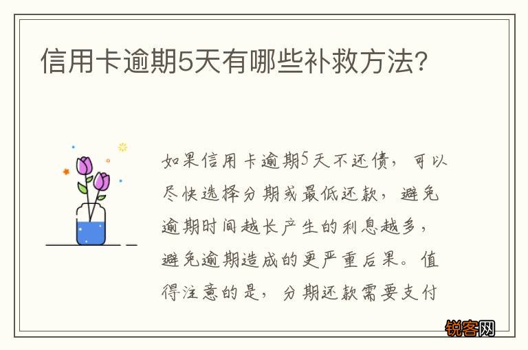信用卡逾期5天有哪些补救方法?