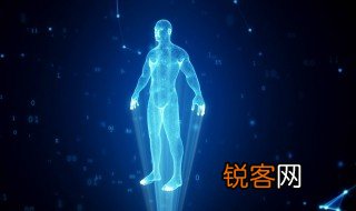 什么是内环境和内环境稳态 内环境和内环境稳态 什么意思