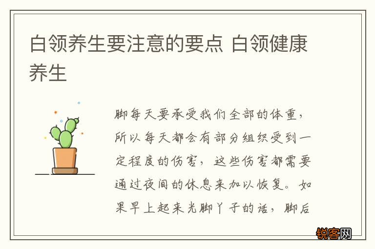白领养生要注意的要点 白领健康养生
