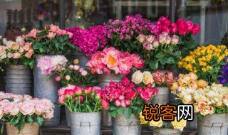 争奇斗艳这个成语的意思是什么 争奇斗艳这个成语的解释