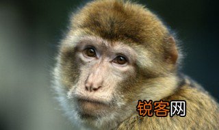 偶的右边念什么 偶的右边念啥